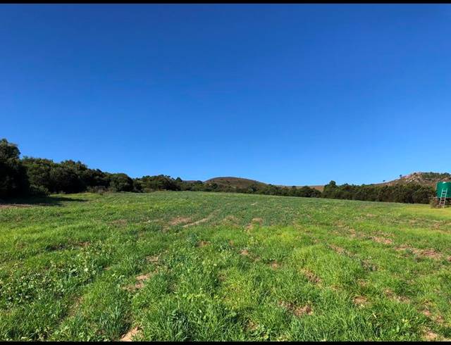 FARM FOR SALE IN BAARDSKEERDERSBOS